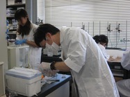 実験の様子