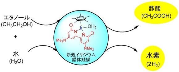 イリジウム錯体触媒を用いる環境調和性に優れた酢酸合成法