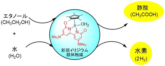 イリジウム錯体触媒を用いる環境調和性に優れた酢酸合成法