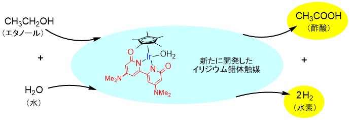 エタノール水溶液から酢酸を合成する環境に優しい新規触媒系