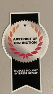 井山涼太さん Abstract of Distinction メダル
